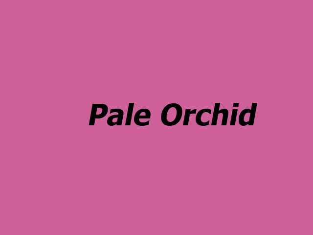 Spring Pro festk spray Pale Orchid - 400ml