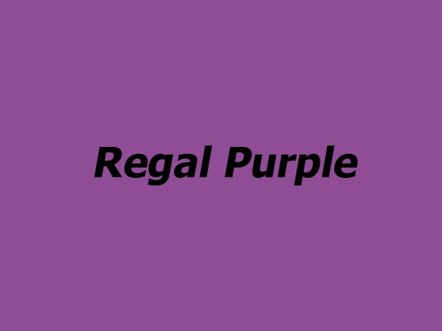 Spring Pro deco spray Regal Purple - 400ml
