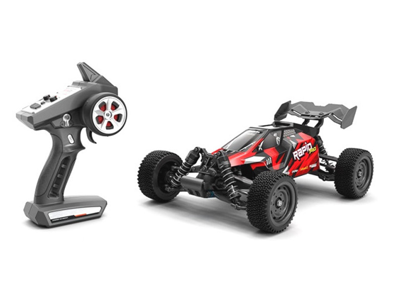 .RAPID PRO 1/16 4WD Off-Road Buggy 70Km/h Brushless High Speed tvirnyts RC Racing aut Piro